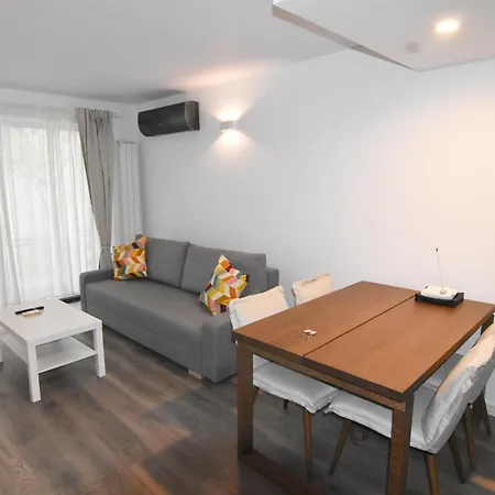 Apartment Casa Valmer Piata Victoriei- Private Parking, Parter, Spatios Si Linistit *