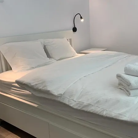 Casa Valmer Piata Victoriei- Private Parking, Parter, Spatios Si Linistit Lejlighed *