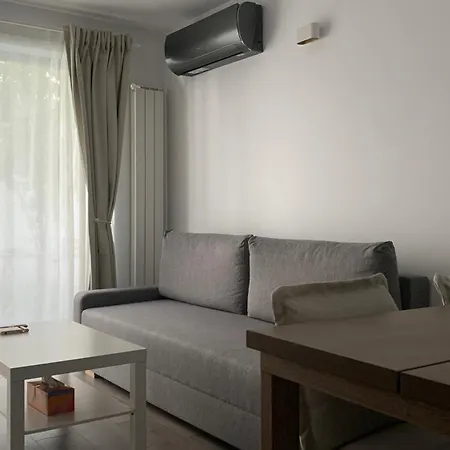 Casa Valmer Piata Victoriei- Private Parking, Parter, Spatios Si Linistit Lejlighed