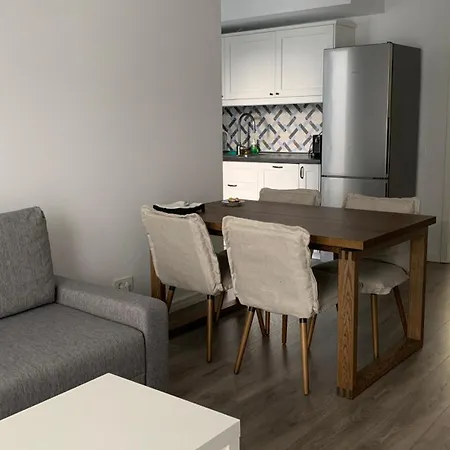 Casa Valmer Piata Victoriei- Private Parking, Parter, Spatios Si Linistit *