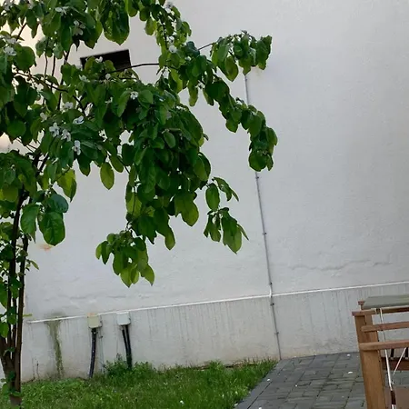 Casa Valmer Piata Victoriei- Private Parking, Parter, Spatios Si Linistit Lejlighed
