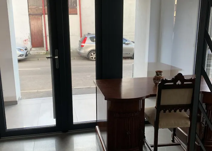 Casa Valmer Piata Victoriei- Private Parking, Parter, Spatios Si Linistit Apartament